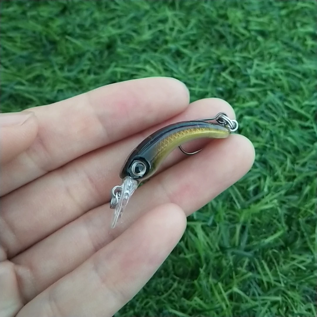 Mini Crankbait Wobbler 40 mm para trucha – Cebo duro de agua dulce - imagen 5