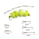 Hueso de pez articulado Waddington para streamers y finesse