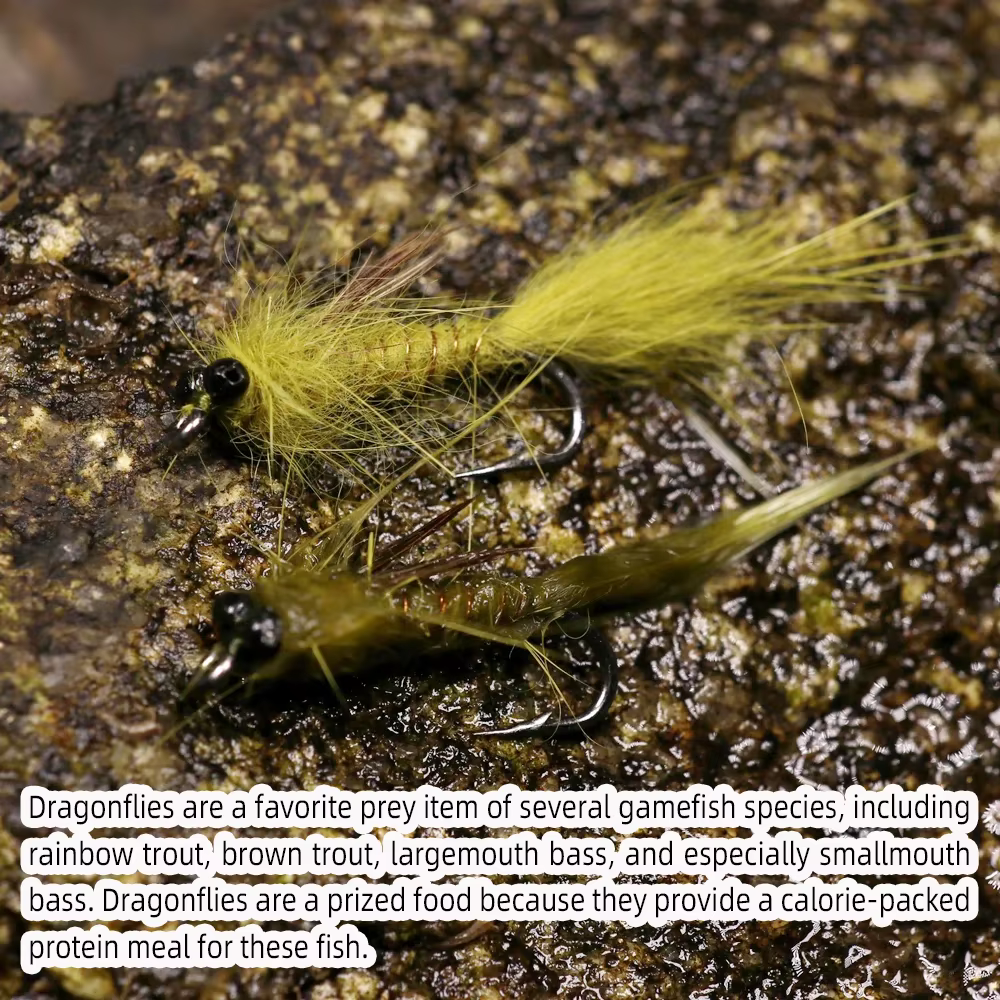 Wifreo Ninfa libélula con orejas de liebre – Mosca húmeda para trucha - imagen 4