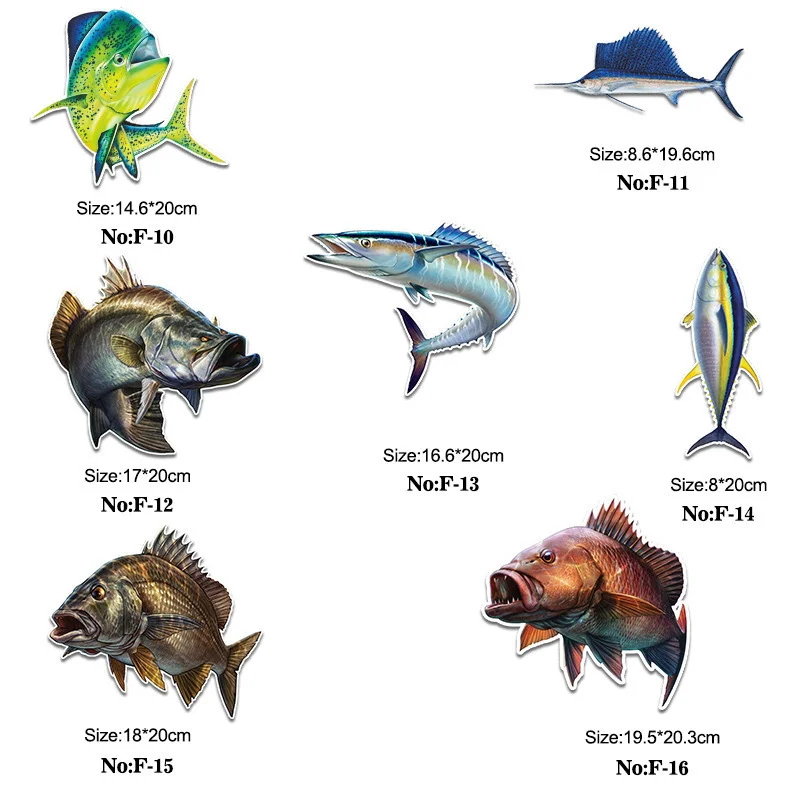 Aplicación de la pegatina en superficie de caja de pesca
