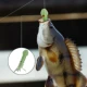 Señuelos luminosos tipo calamar para pesca nocturna en agua salada - imagen 3
