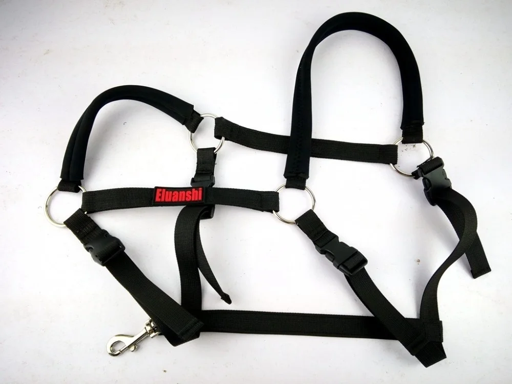 Acabado del set para silla y brida