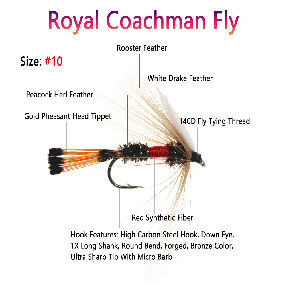 Moscas secas Bimoo Royal Coachman Wulff Drake Wing – Cebo trucha pavo real - imagen 5