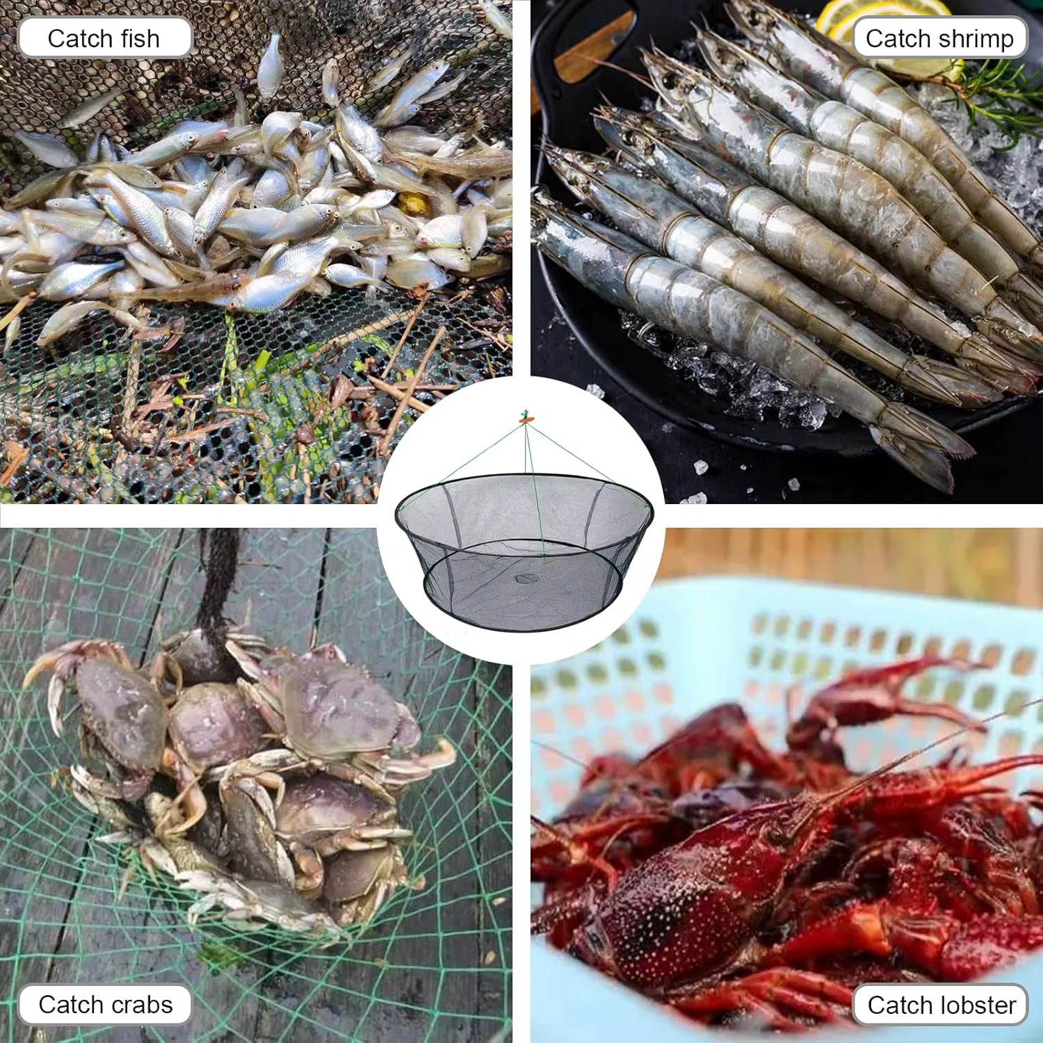 Red de aterrizaje plegable grande para gambas cangrejos y carpines - imagen 4
