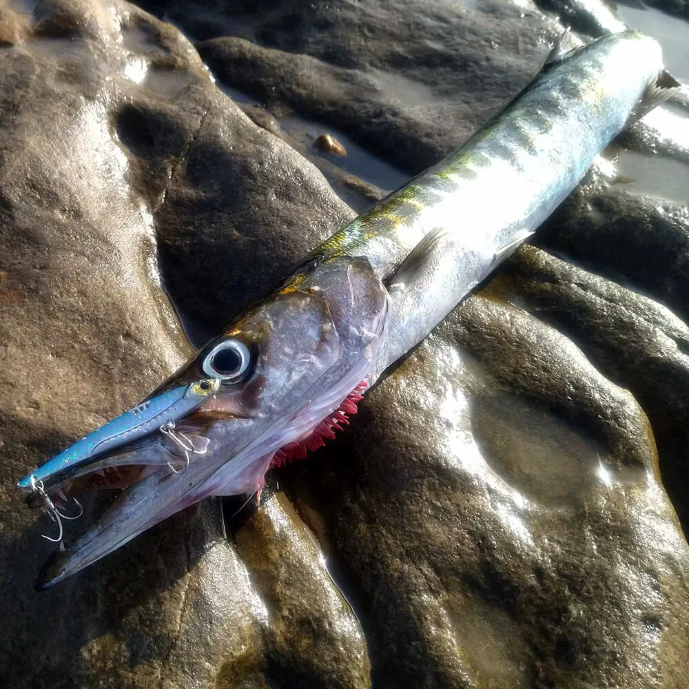 GOBAIT Señuelo VIB con anzuelo triple y cuchara giratoria - imagen 4