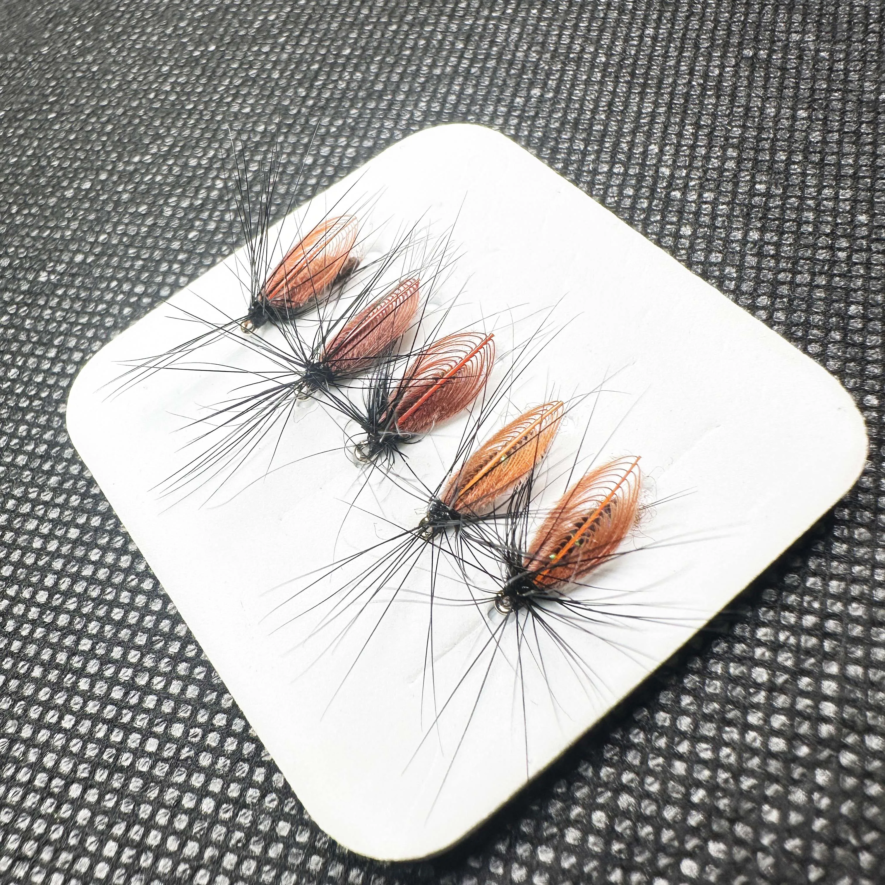 Pack con varios modelos/colores