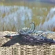 Spinnerbait carpa con cuchillas y falda de silicona - imagen 2