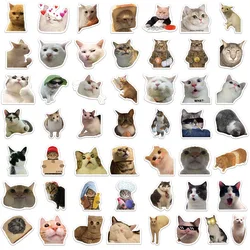 Pegatinas de pesca MEME - animales divertidos
