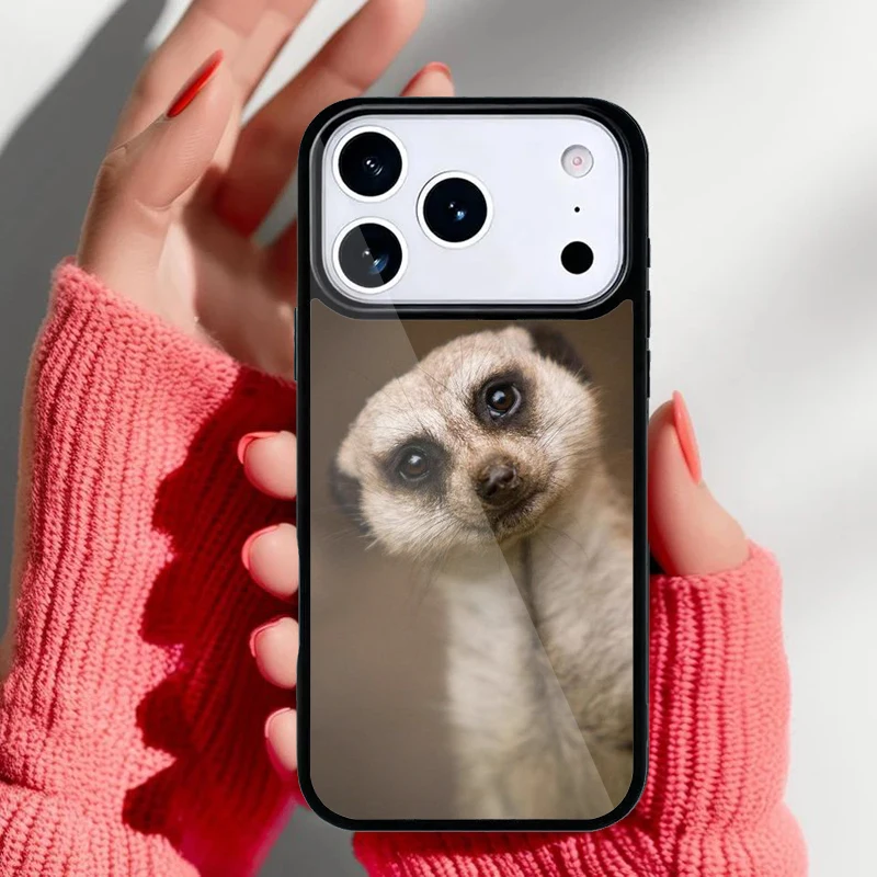 Funda instalada en iPhone, vista trasera