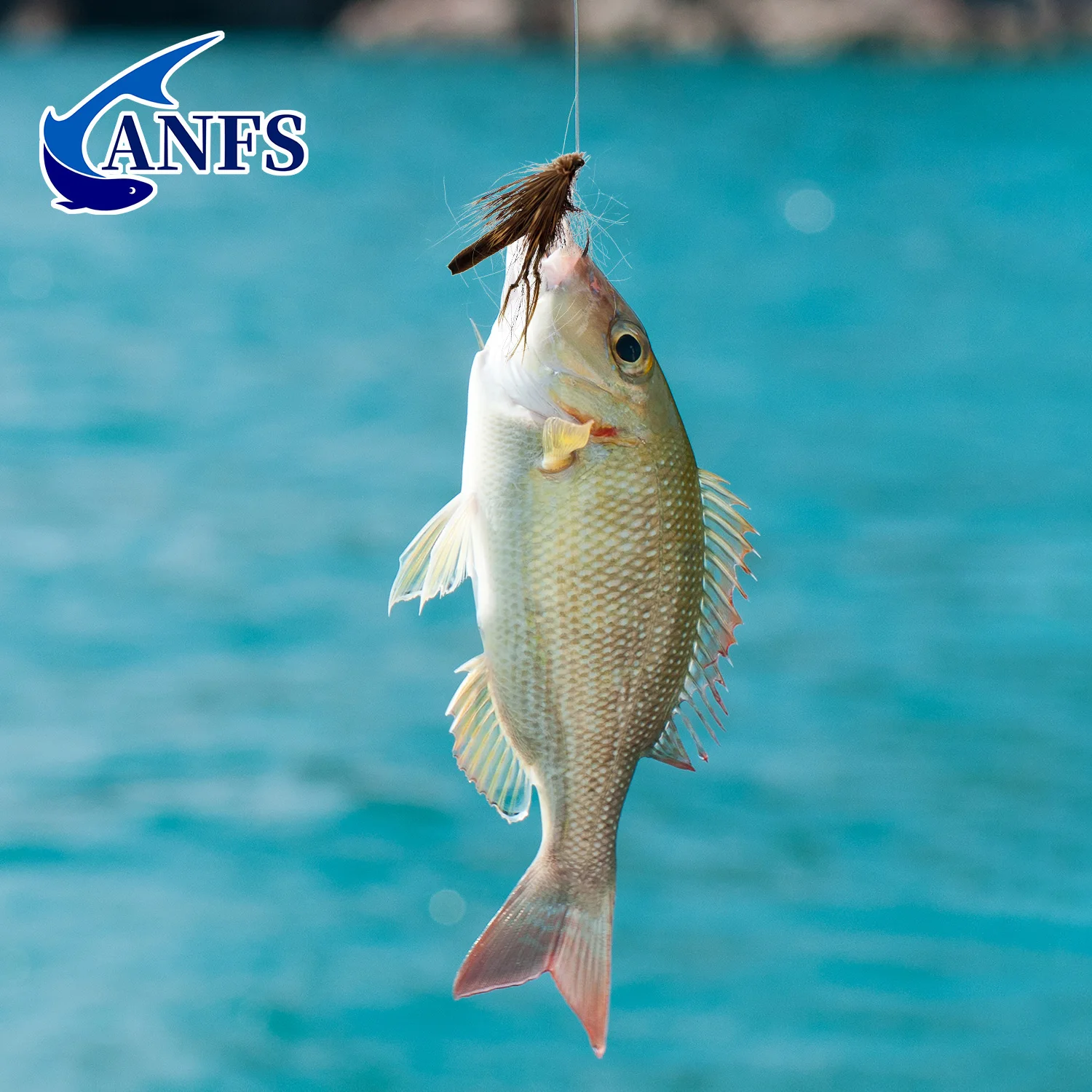 ANFS Mosca seca MayFly – Broche a mano para trucha y lubina ganadora - imagen 3