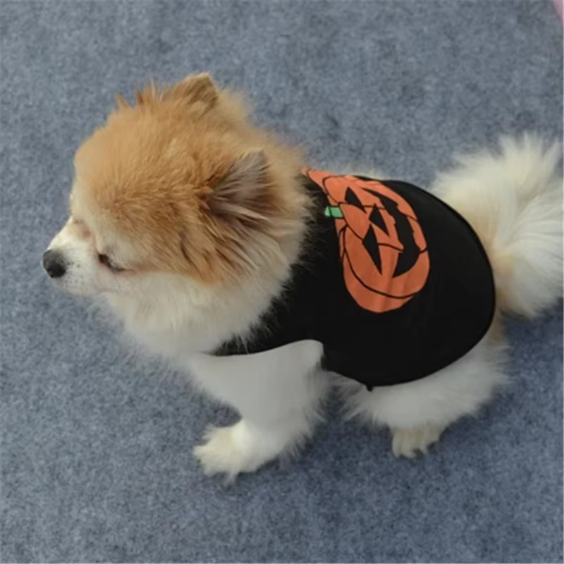 Guía de tallas para disfraces de mascotas