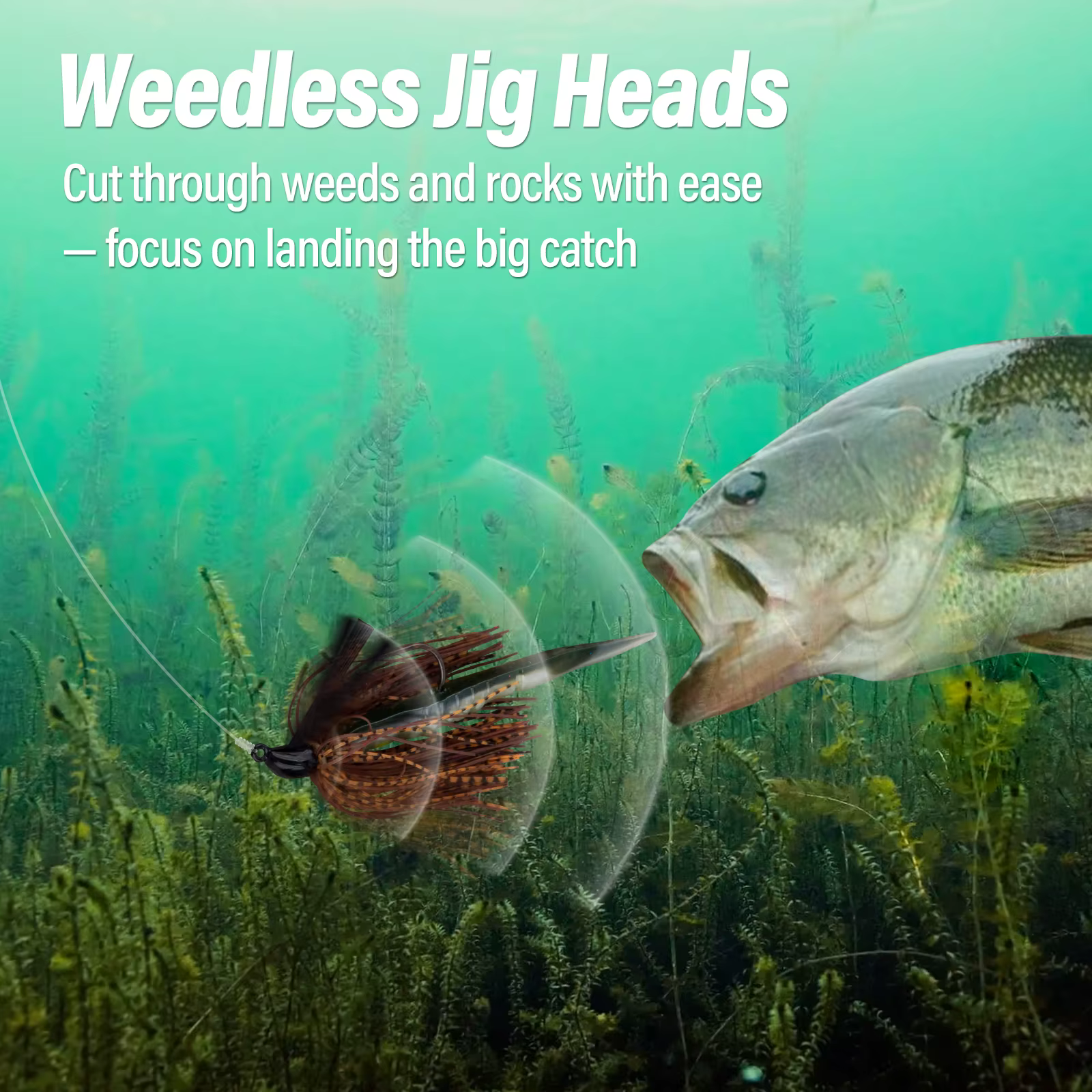 Jig Head sin malezas para lubina – anzuelo de lanzamiento - imagen 5