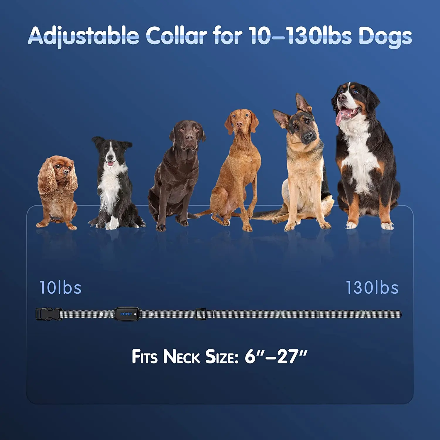 Collar electrónico adiestramiento perros recargable impermeable remoto - imagen 3