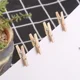 Mini pinzas de madera para ropa y fotos, clips naturales - imagen 3
