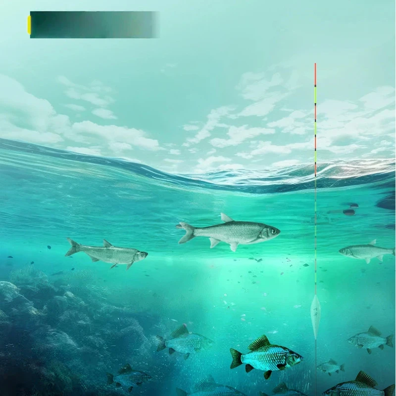 Flotador Crucian especial para carpa, punta cónica y alta sensibilidad - imagen 4