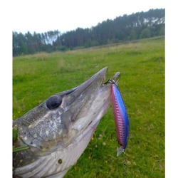 ESFISHING Super Natural Wobbler – Señuelo hundido para lubina