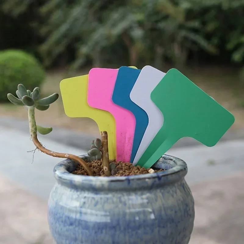 Etiquetas de plástico para plantas en forma T, lote de 10 unidades