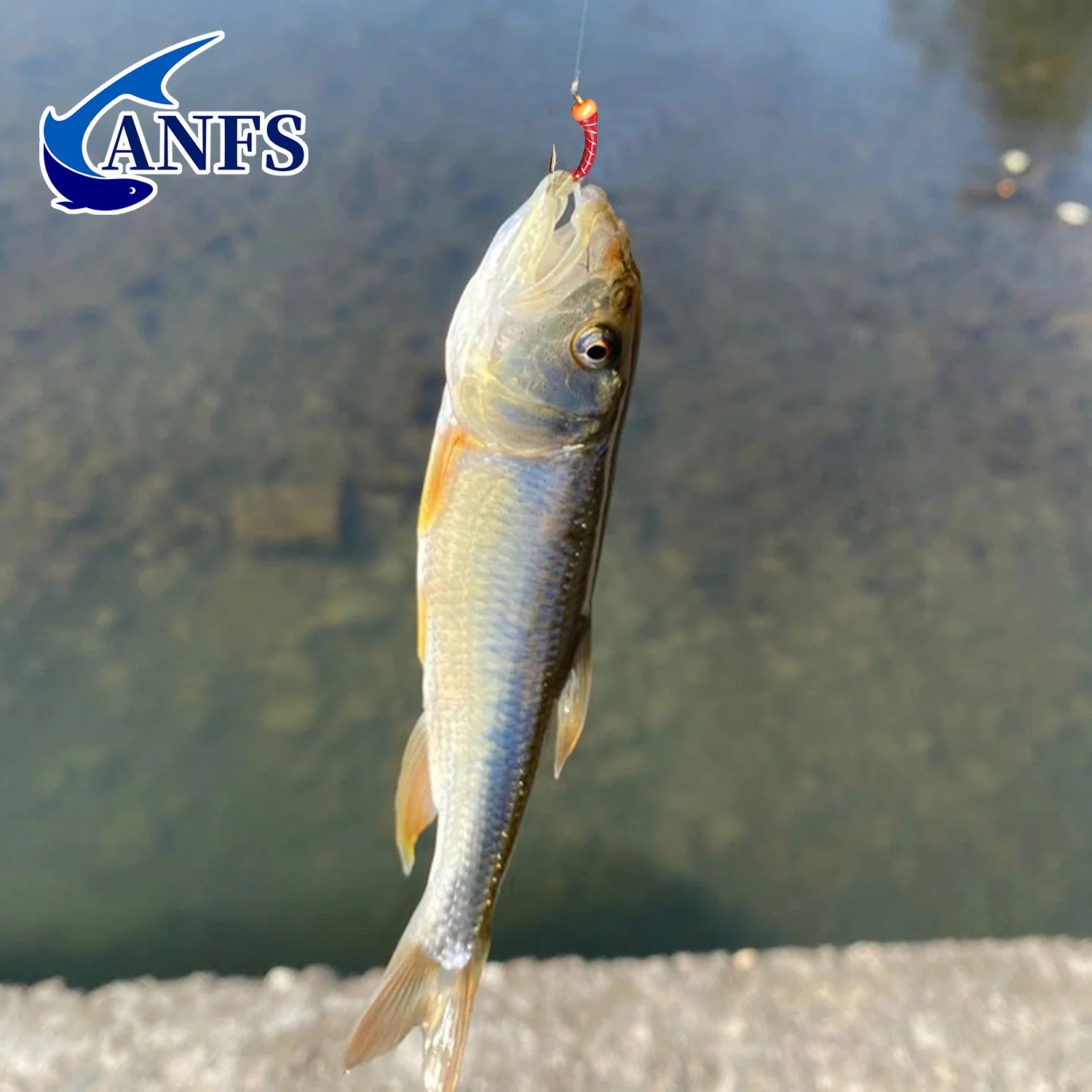 ANFS Moscas Ninfa para Trucha – Patrones Vibrantes - imagen 4