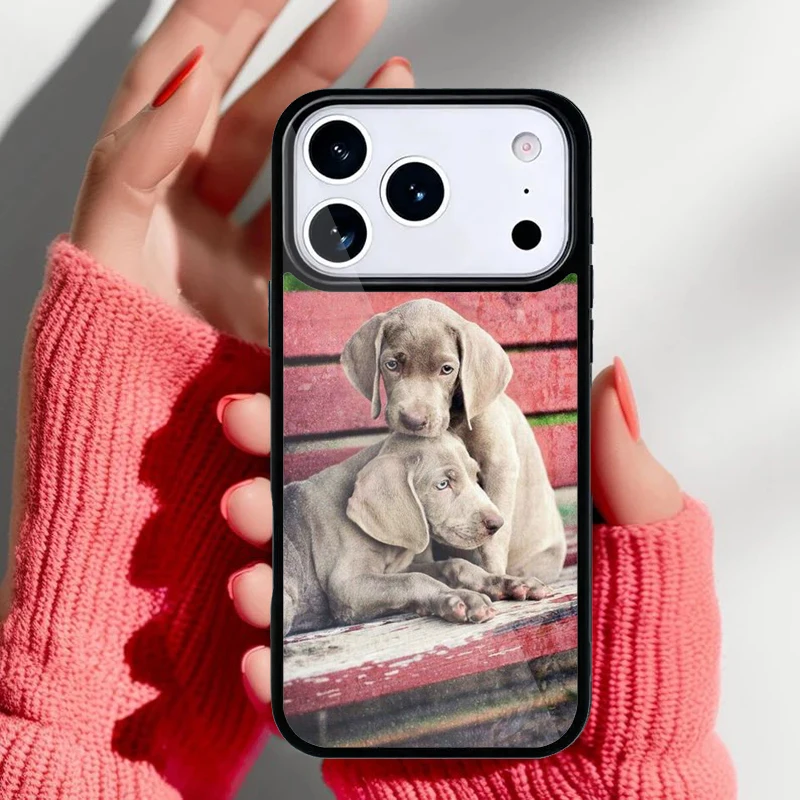 Diseño frontal de la funda Vizsla Húngaro