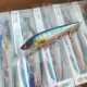 Noeby minnow hundido para trolling profundo – crankbait - imagen 5