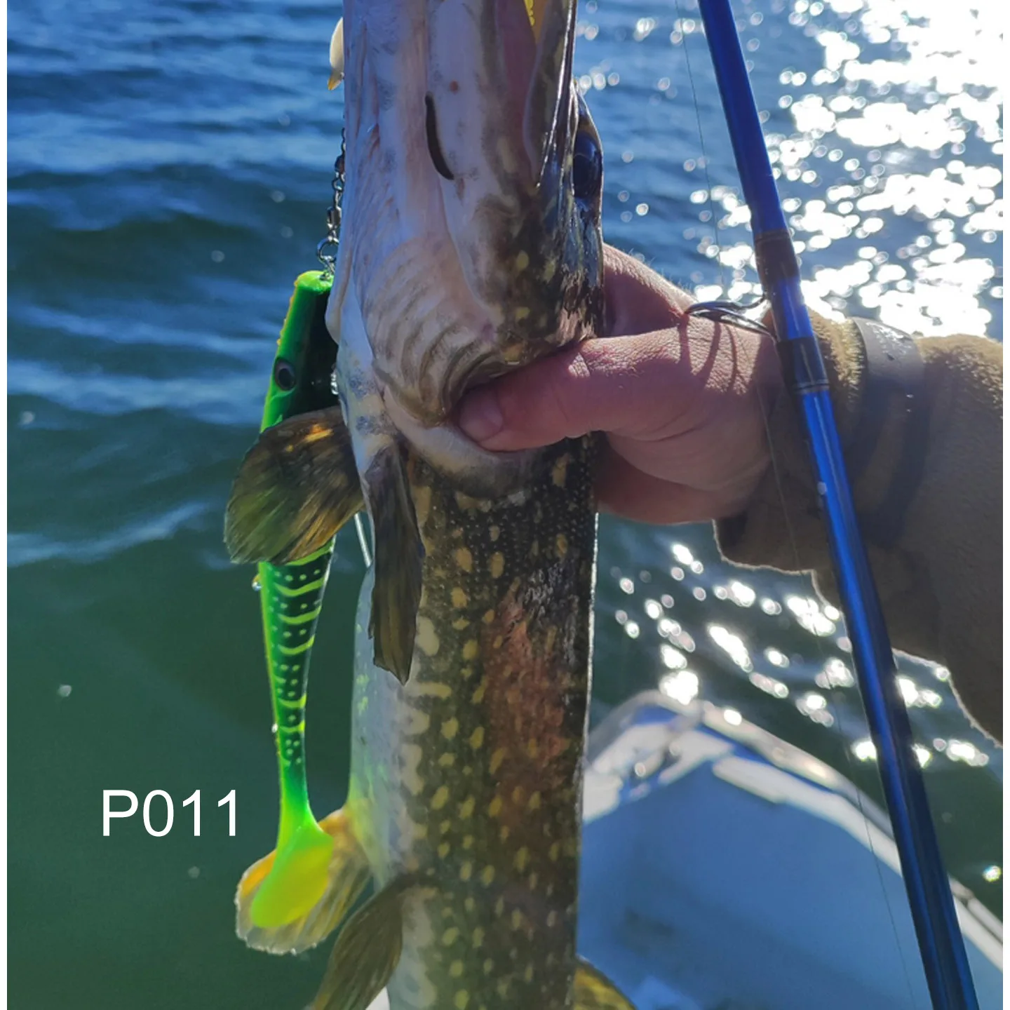 ESFISHING Señuelo tipo Hog Shad Swimbait mar y carpa - imagen 4