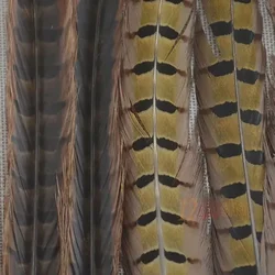 Plumas naturales MNFT – Material de atado para moscas de pesca