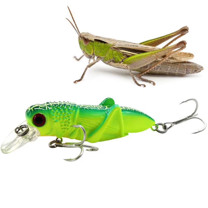 Minnow Grasshopper Señuelo Biónico para Perca con Efecto Langosta - imagen 4