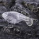 Señuelo de lubina flotante Dr.Holife sin pintar – cebo duro - imagen 4