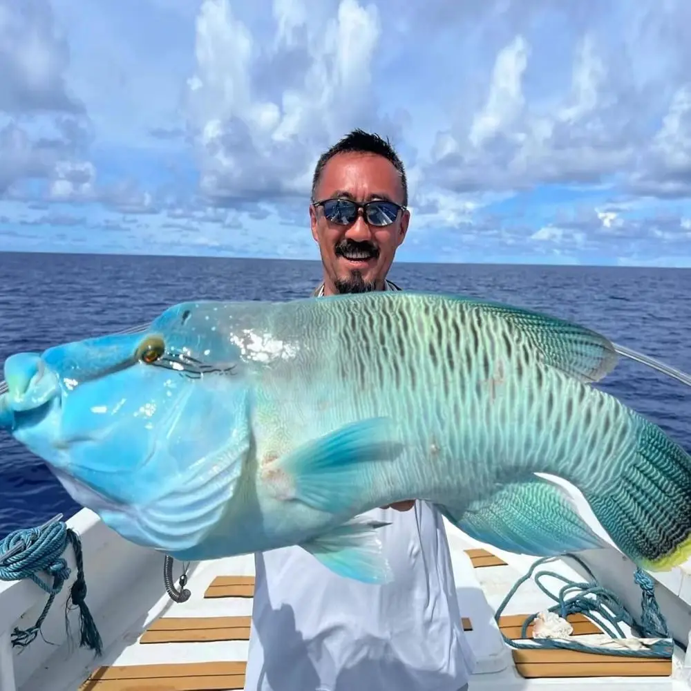 Anzuelos para camarones vivos con púas de acero al carbono