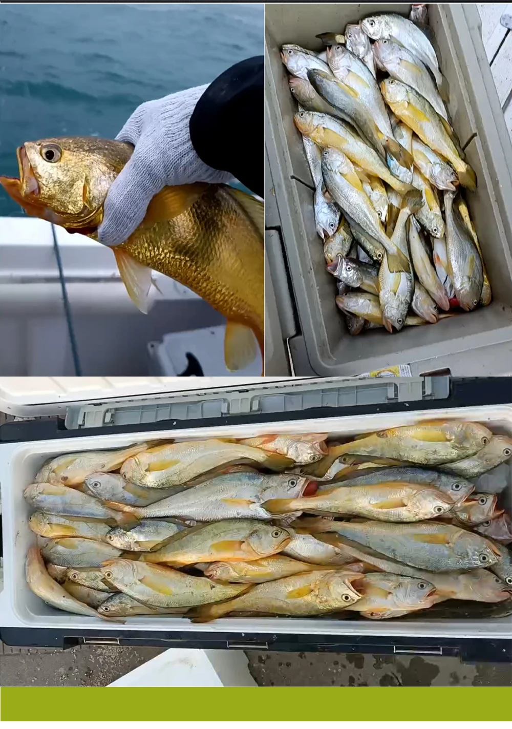 Detalle de la punta de espiga de los anzuelos FTK