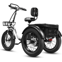 ESKUTE Triciclo eléctrico cargo con batería extraíble y motor 250W