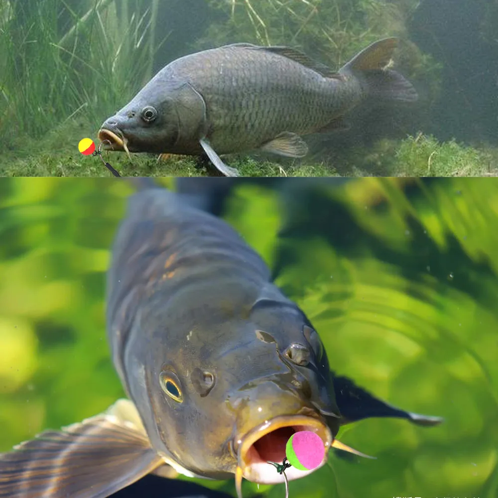 Boilies Flotantes para Carpa 10-12mm - Cebo Emergente para Pesca con Método Alimentador - imagen 2