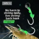Anzuelos luminosos para camarón vivo de acero inoxidable – púas - imagen 4