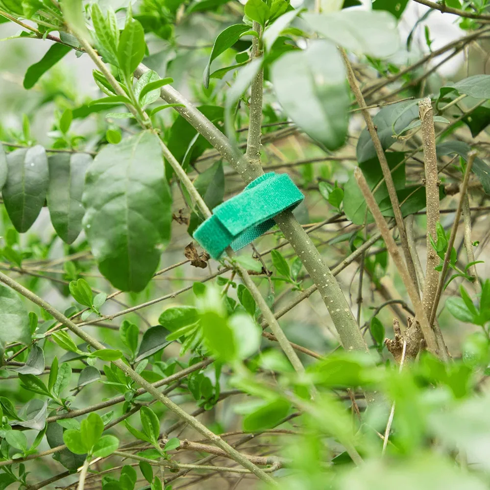 Correas de Nylon reutilizables para plantas trepadoras – sujeción - imagen 3