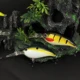 WALK FISH Crankbait Minnow para lubina, anzuelos triples - imagen 4