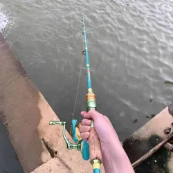 Alimentador de surf F Tune Cast cebo alto carbono para río y lago