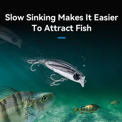 Kingdom Micro Minnow - Señuelo minnow hundido para lubina y trucha