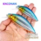 Jerkbait wobbler hundimiento lento para lucio – crank largo - imagen 2
