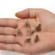 Mosca seca caddis Vtwins de pelo de alce artificial – Cebo flotante - imagen 4