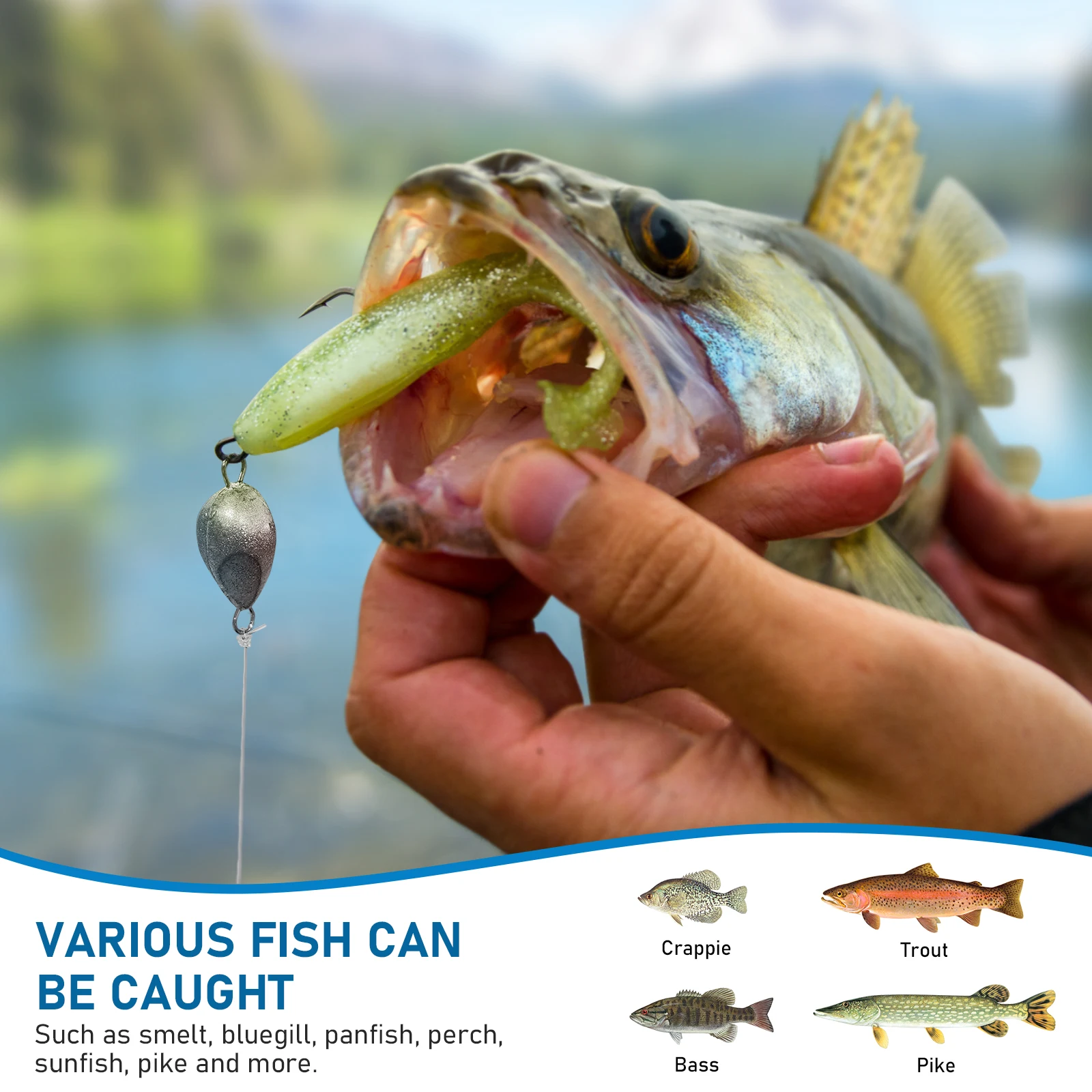 Kit completo de anzuelos con cabeza de plomo en varios tamaños