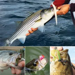 FishTrip Anzuelo Ned Rig Finesse para Lubina y Trucha