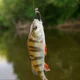 Goture señuelos blandos con jig head y vinilo para pesca - imagen 4