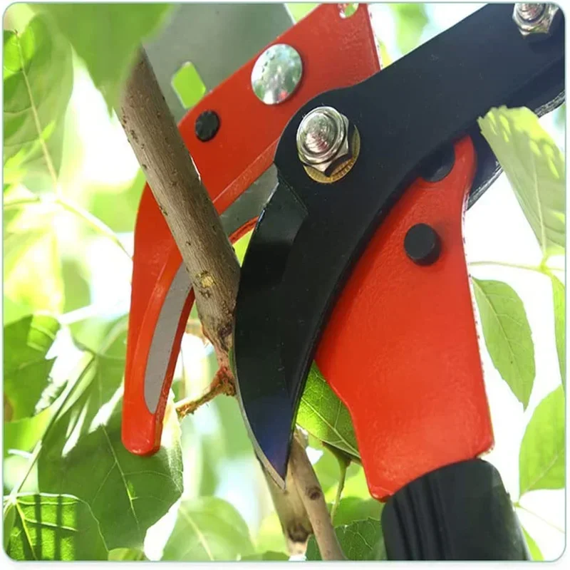 Podadora de árboles extensible 2 en 1 – Sierra y tijeras para jardín - imagen 4