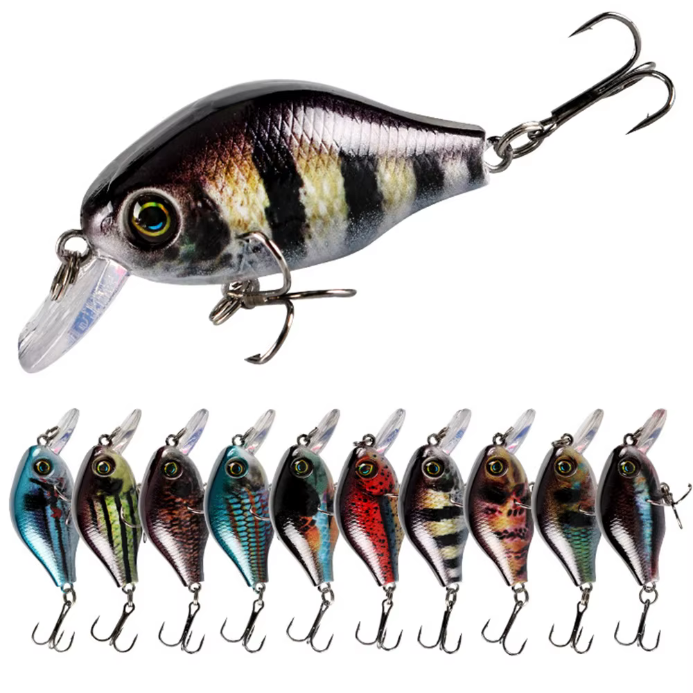 CrankBait Prunanm - vista frontal