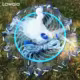 Plomadas Drop Shot Lawaia Acero – Agujero profundo Anillo azul para vinilo