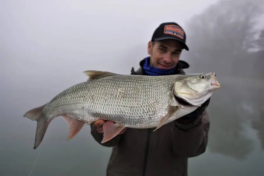 Imagen adicional del señuelo Mustad AJW-NAF