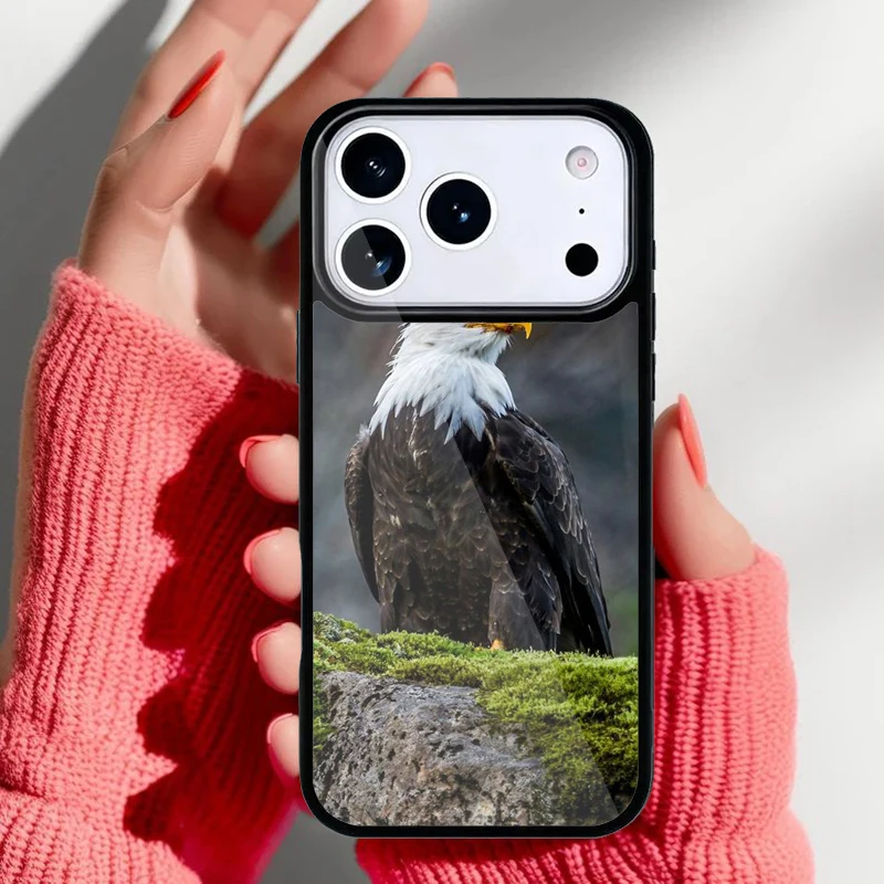 Variedad de diseños de fundas para iPhone