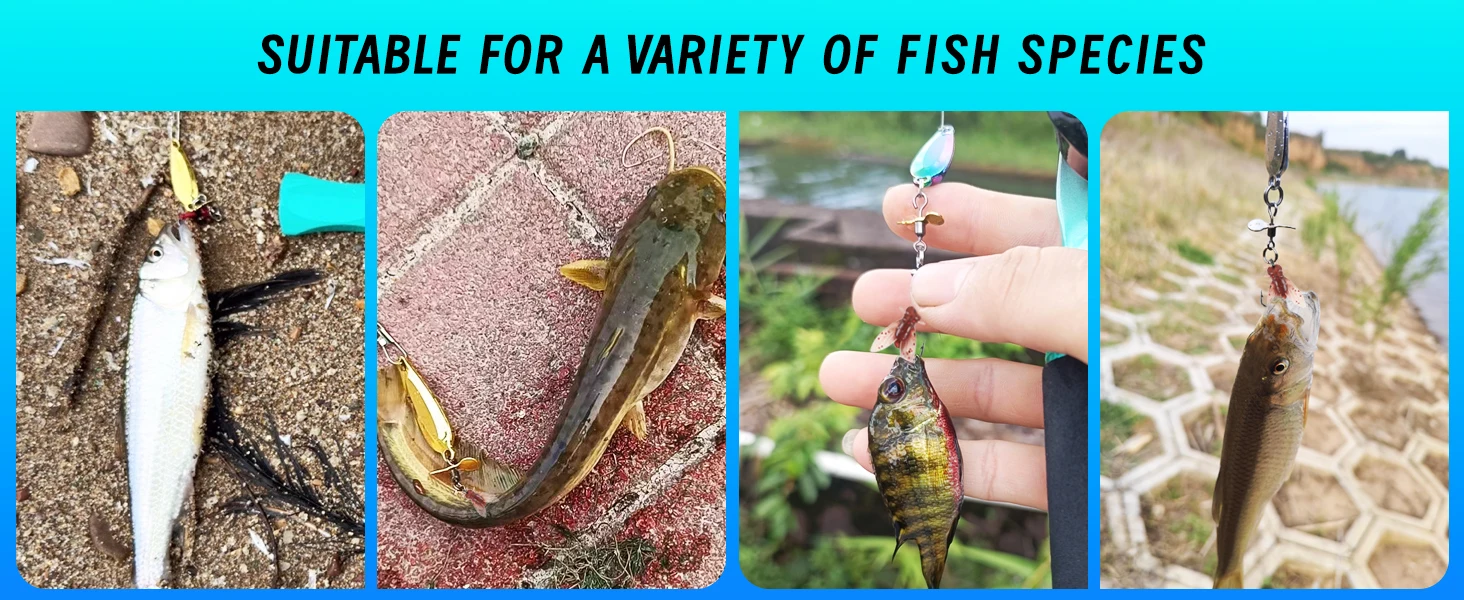 Variedad de colores dorados y plateados