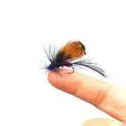 Kit de moscas de insectos hechas a mano: mosca seca y streamer - imagen 4