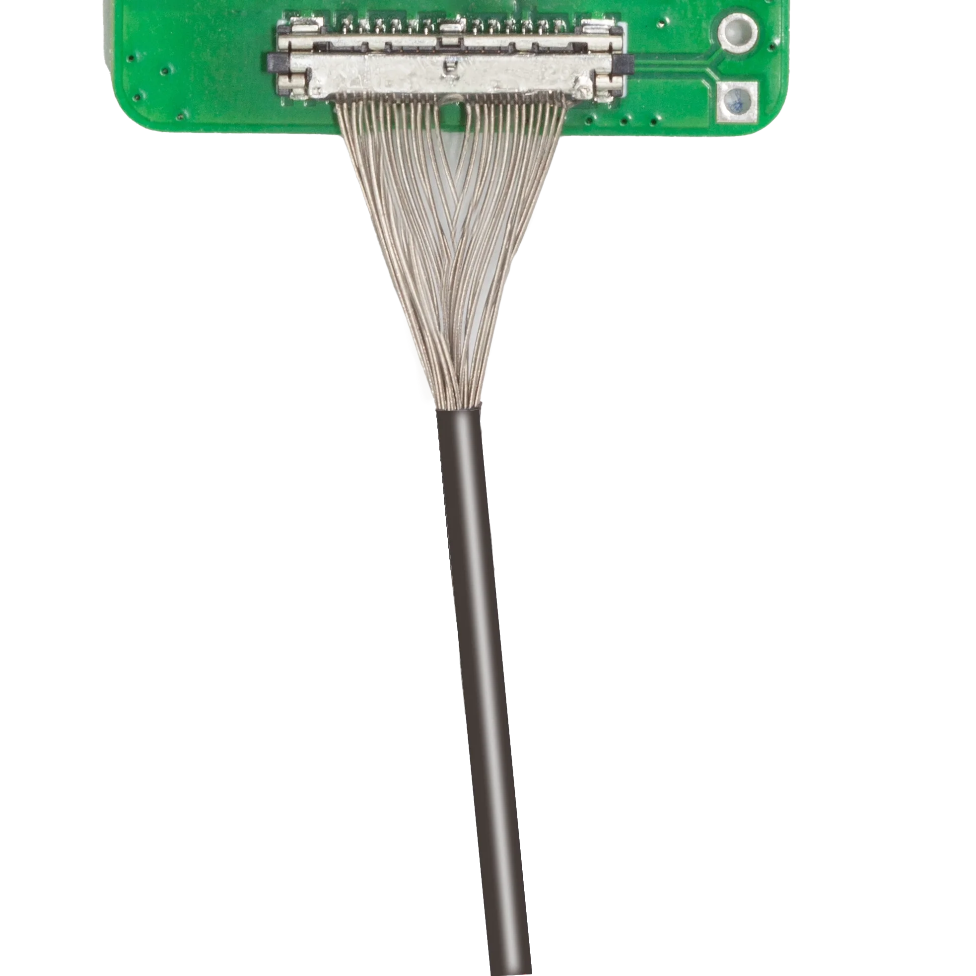 Línea OAK original exclusiva para pesca de disparo - imagen 5